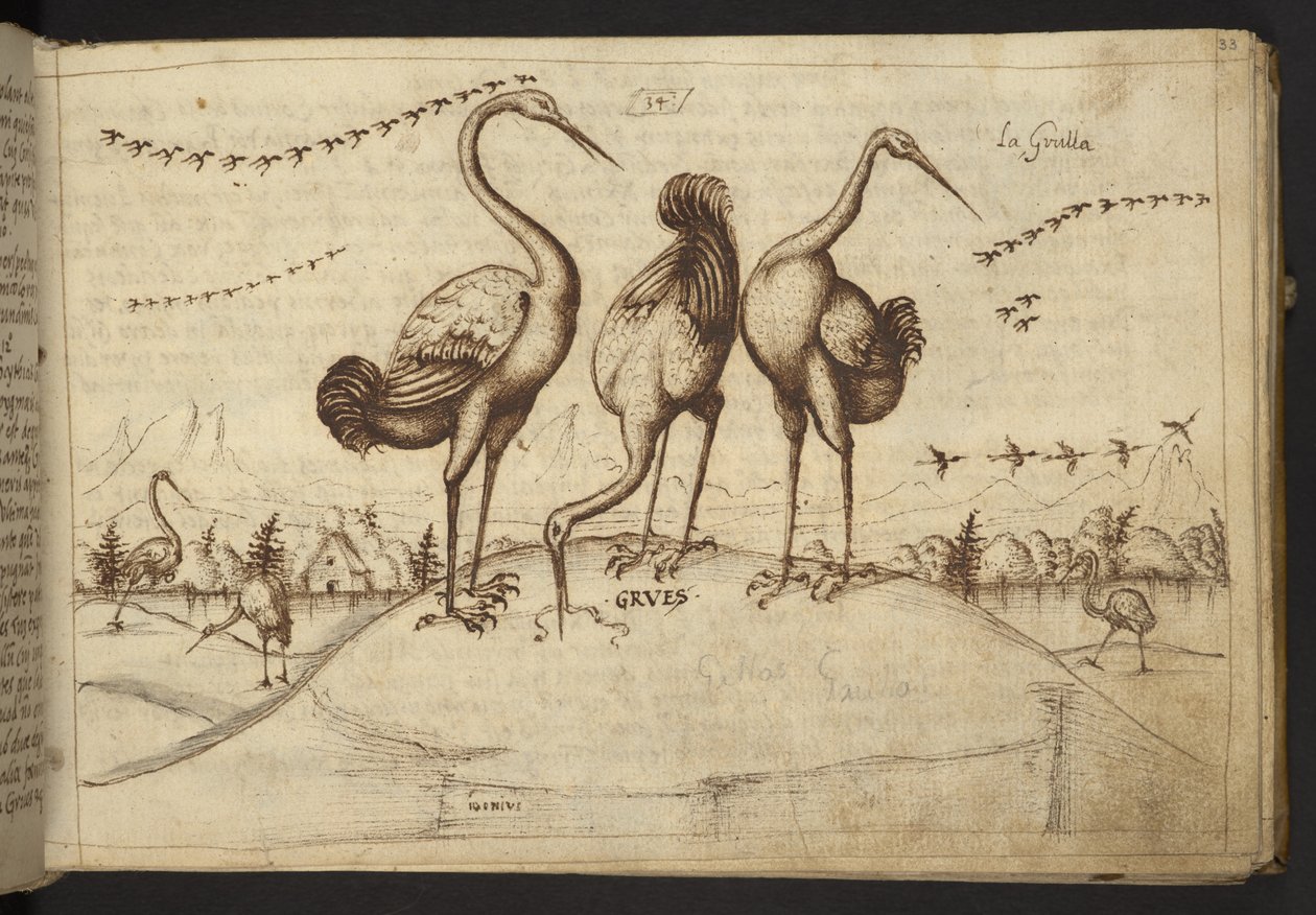 Legge til. 82955, f.33 Traner (
