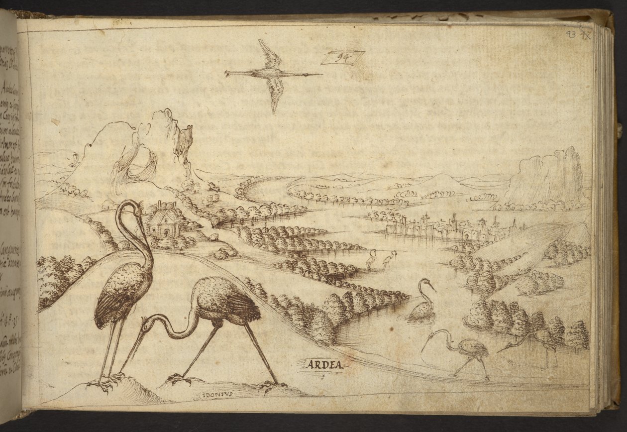 Legge til. 82955, f.93 Hegre (