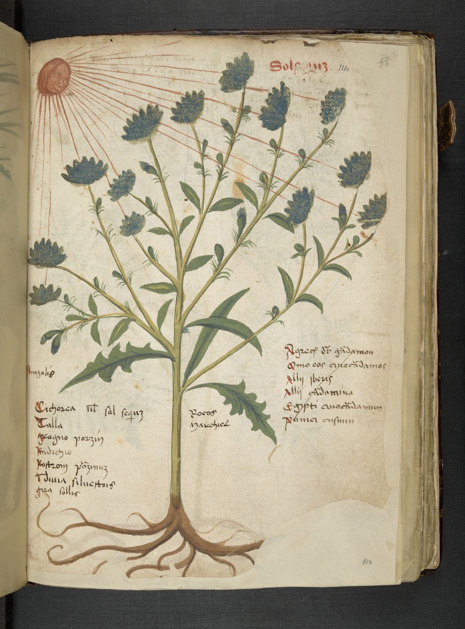 Legg til MS 41623 f.114r 