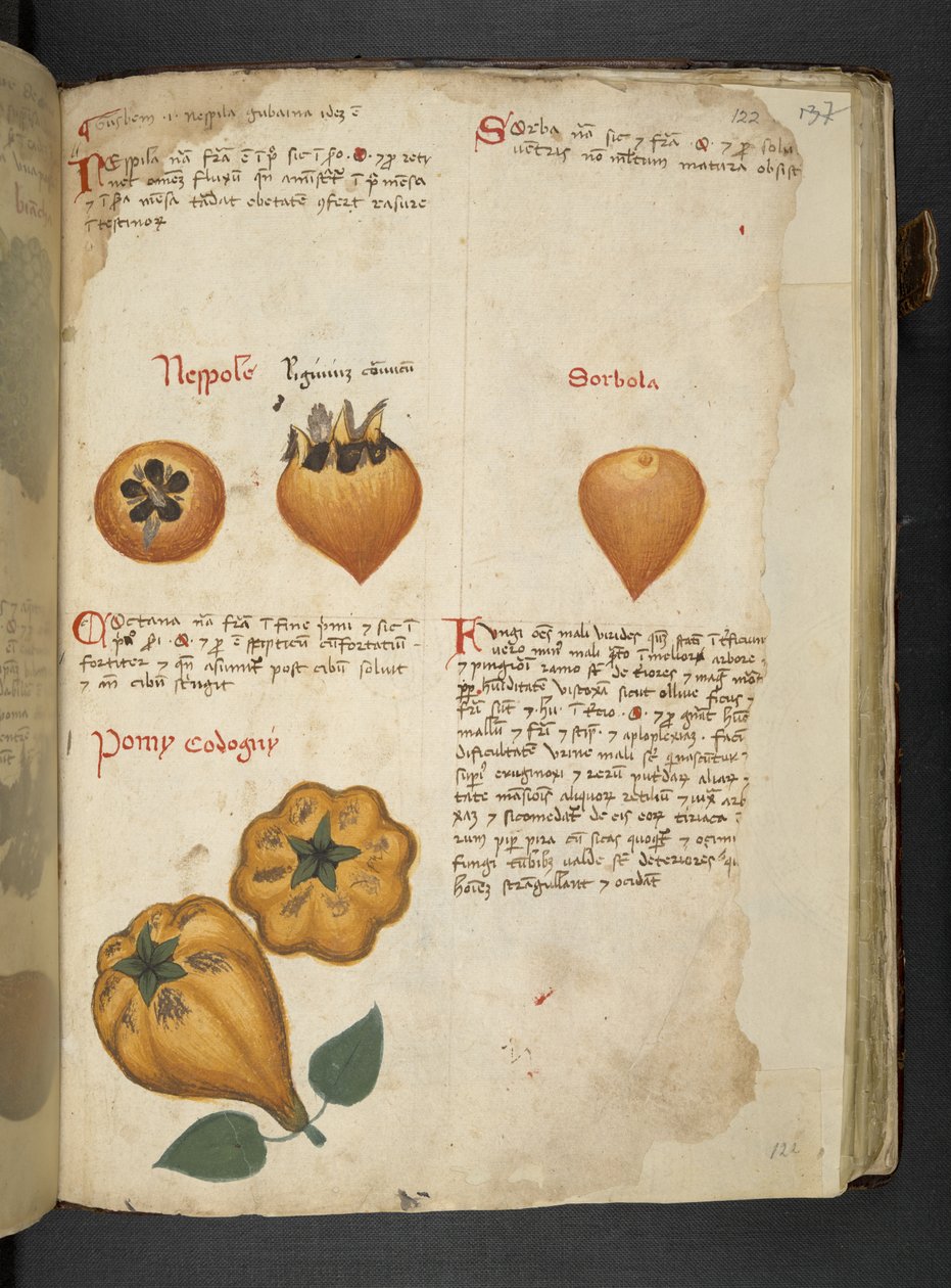 Legg til MS 41623 f.122r Pere Cotogne og Sorbo, fra 