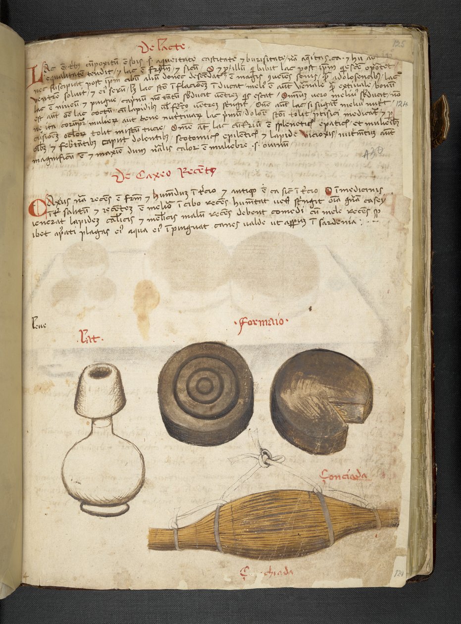 Legg til MS 41623 f.124r 
