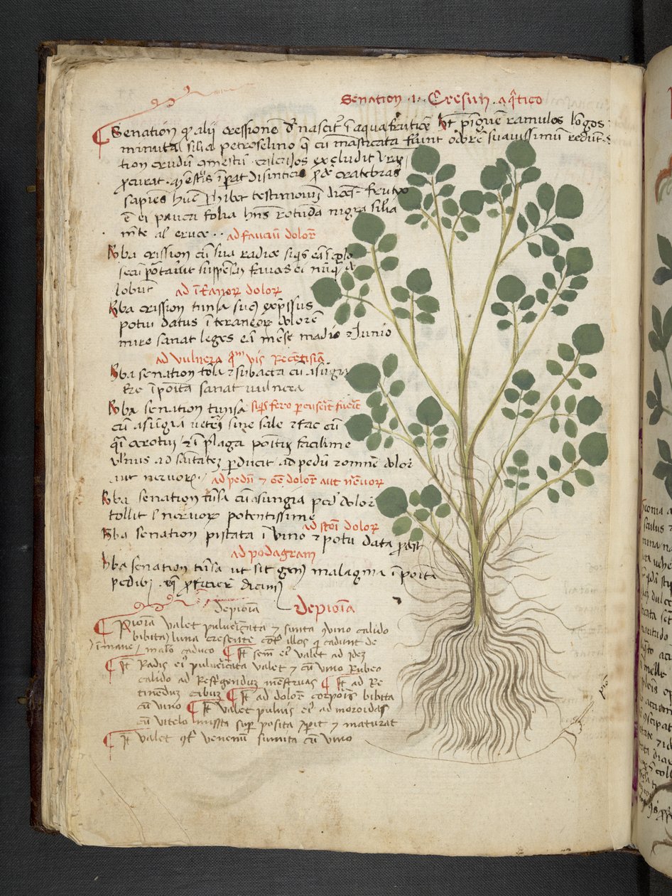 Legg til MS 41623 f.32v 