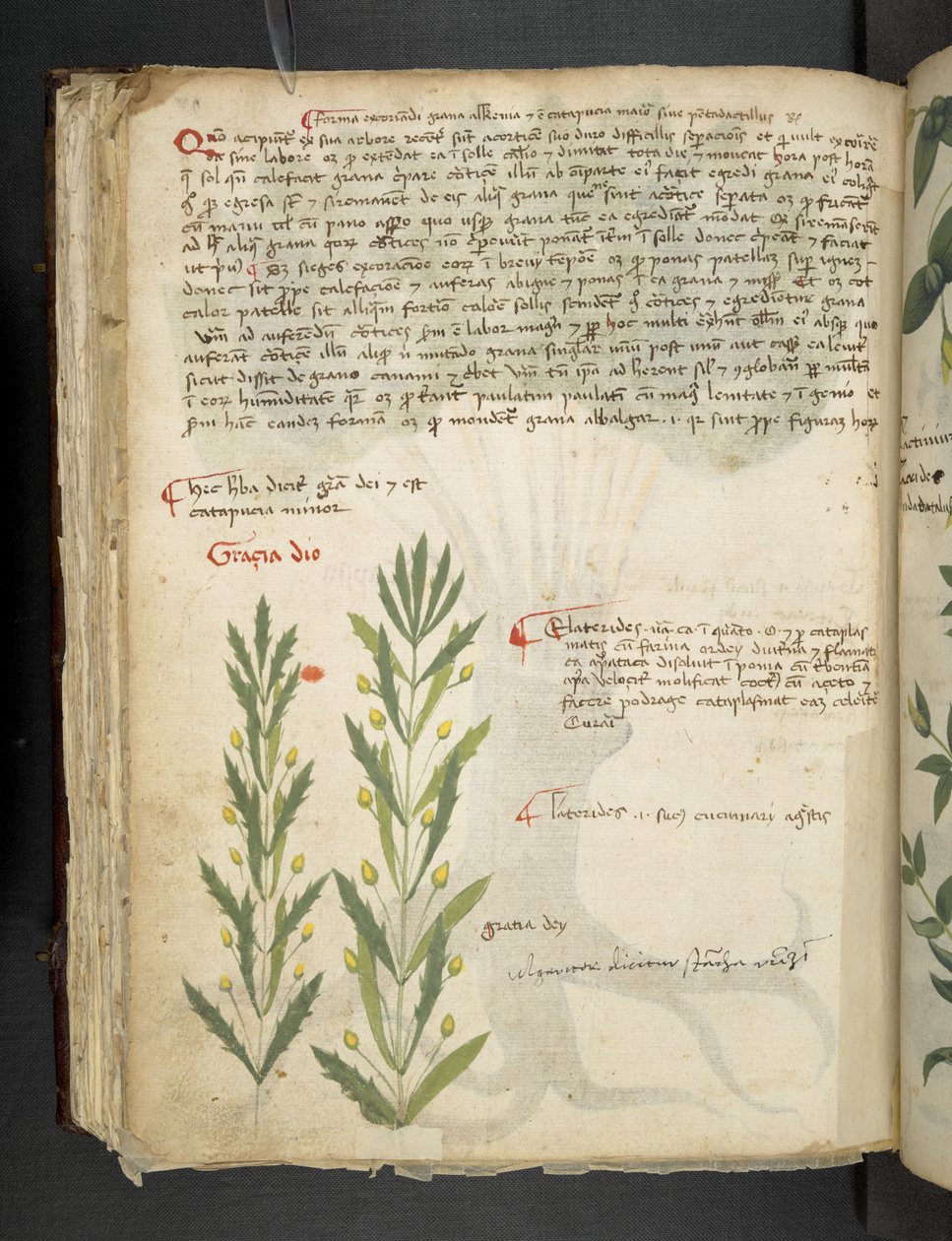 Legg til MS 41623 f.39v 