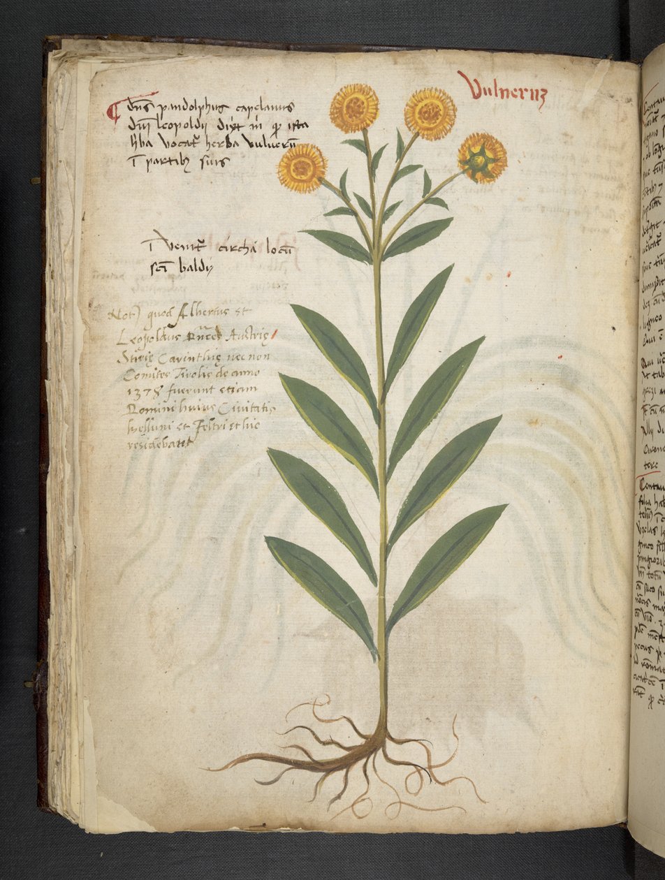 Legg til MS 41623 f.49v 