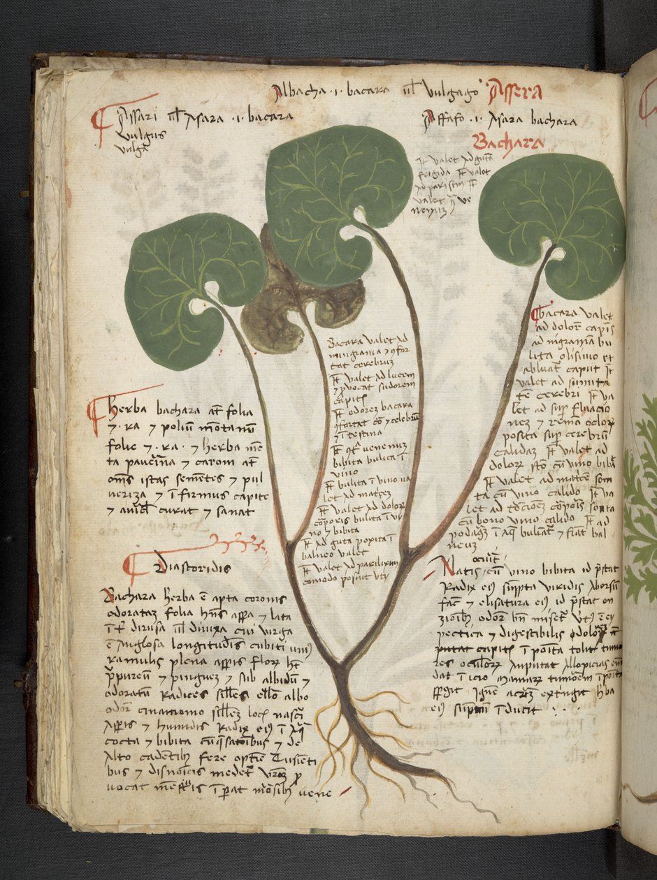 Legg til MS 41623 f.60v 