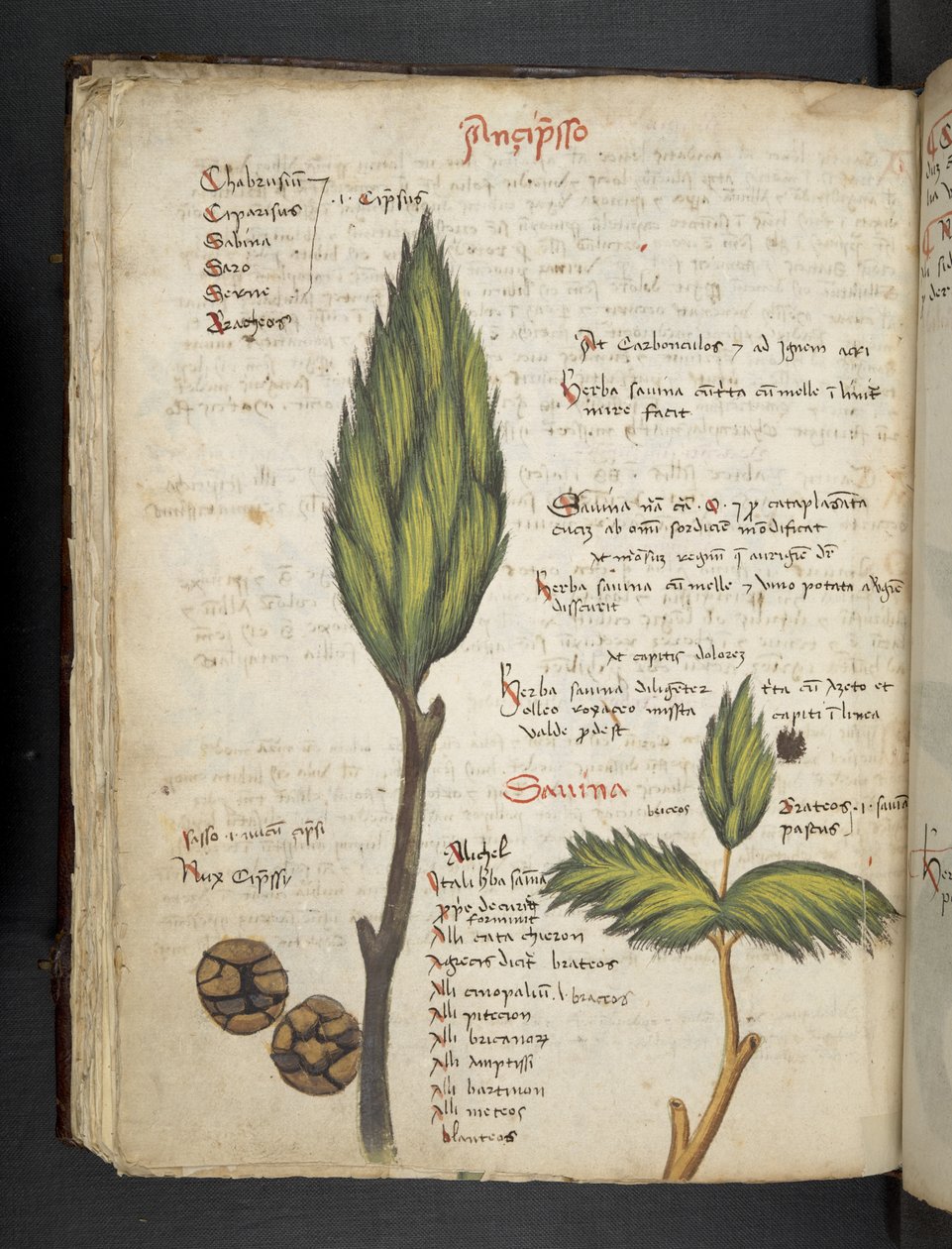 Legg til MS 41623 f.62v 