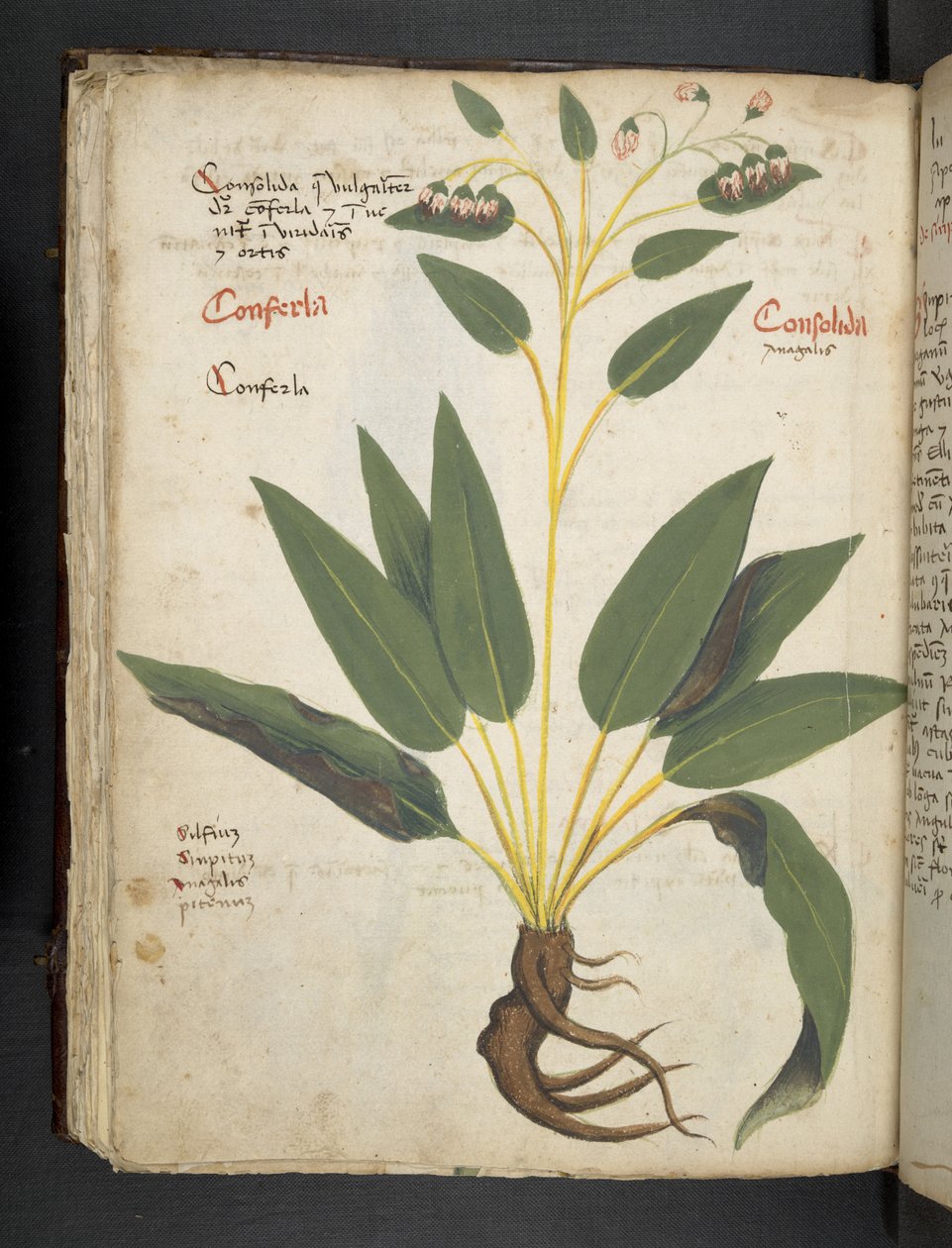 Legg til MS 41623 f.63v 