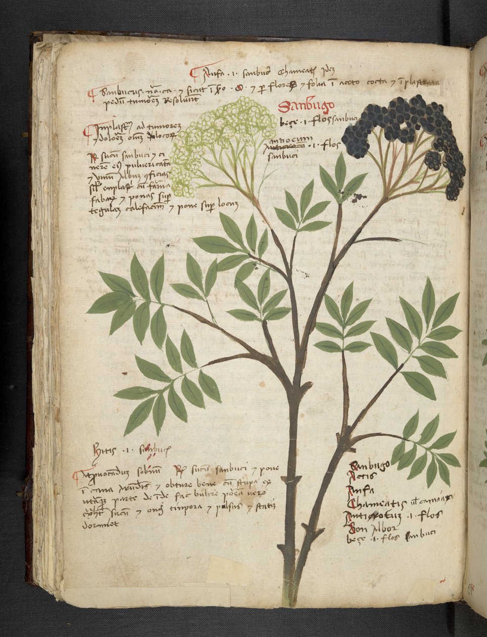 Legg til MS 41623 f.72v 