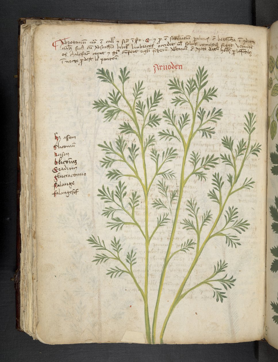 Legg til MS 41623 f.74v 