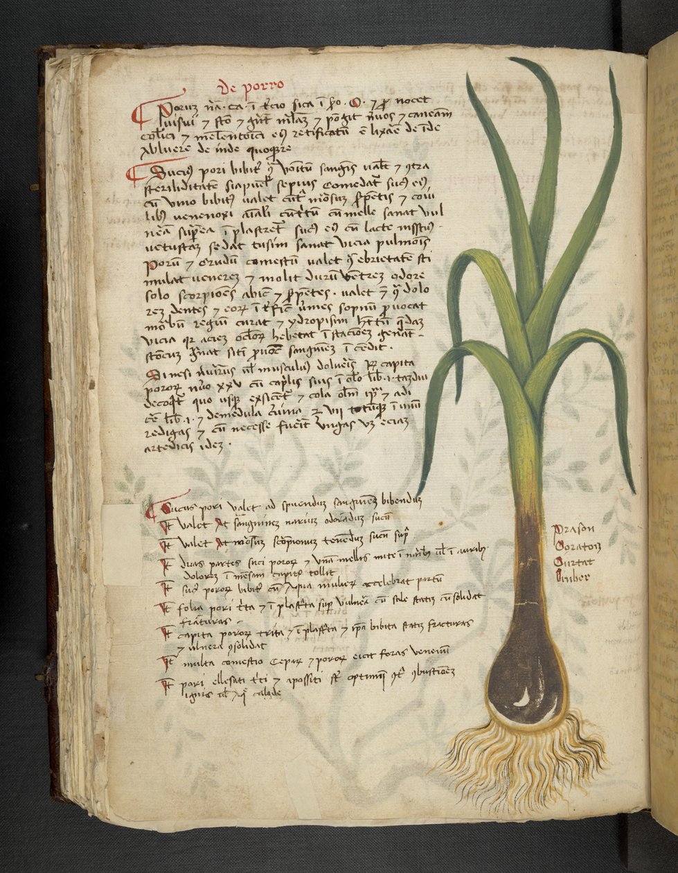 Legg til MS 41623 f.87v De Porro 