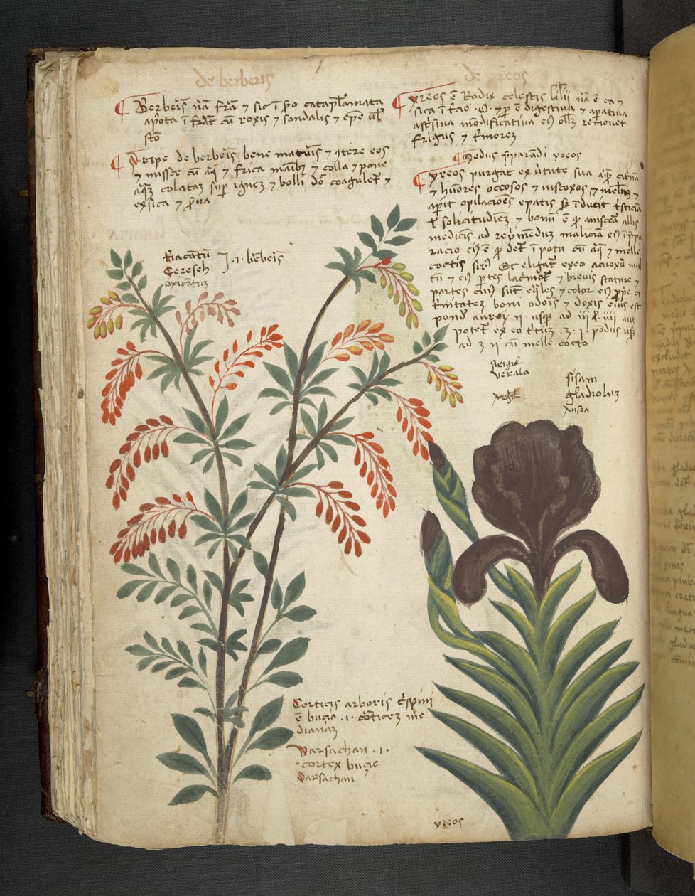 Legg til MS 41623 f.89v 