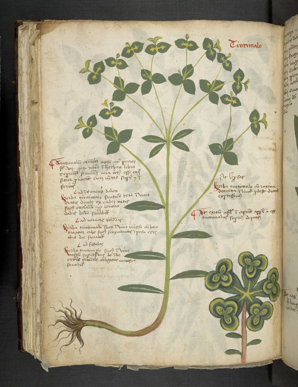 Legg til MS 41623 f.94v 