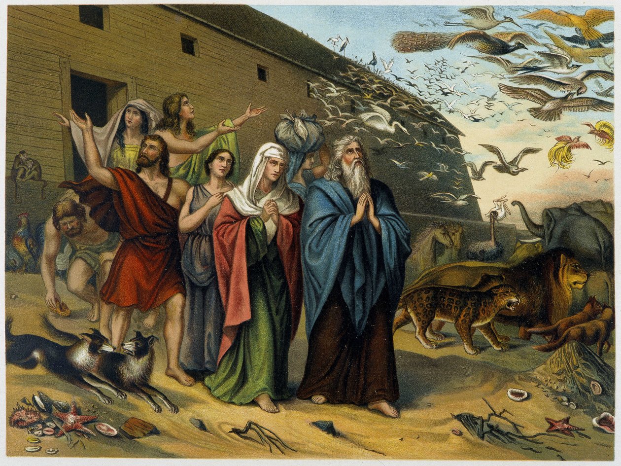 Etter flommen kommer Noah, hans familie og dyr ut av arken - i "Classic Golden Bible: history of divine revelation in the old and in the new spenning" "av Giovanni Ladislao Sykora (bd. 1), oversatt av Don Clemente Benetti . (italiensk bibel) av Italian School