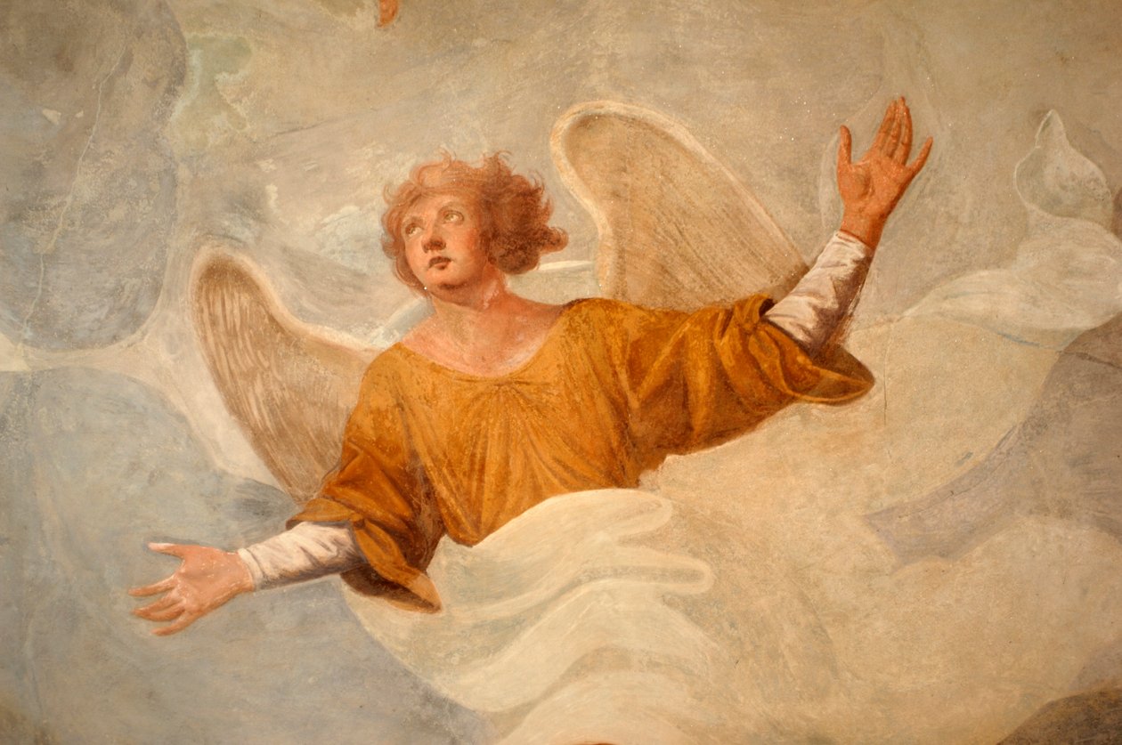 Engel, detalj fra scener fra Johannes#39; liv (1600-tallet), freske, tidlig kristen dåpskapell, portik av Novara-katedralen, Piemonte, Italia av Italian School