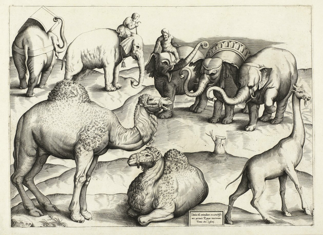 Dyremalerier fra det gamle Roma, Table, 3., pub. Antonio Lafrere 1528 av Italian School