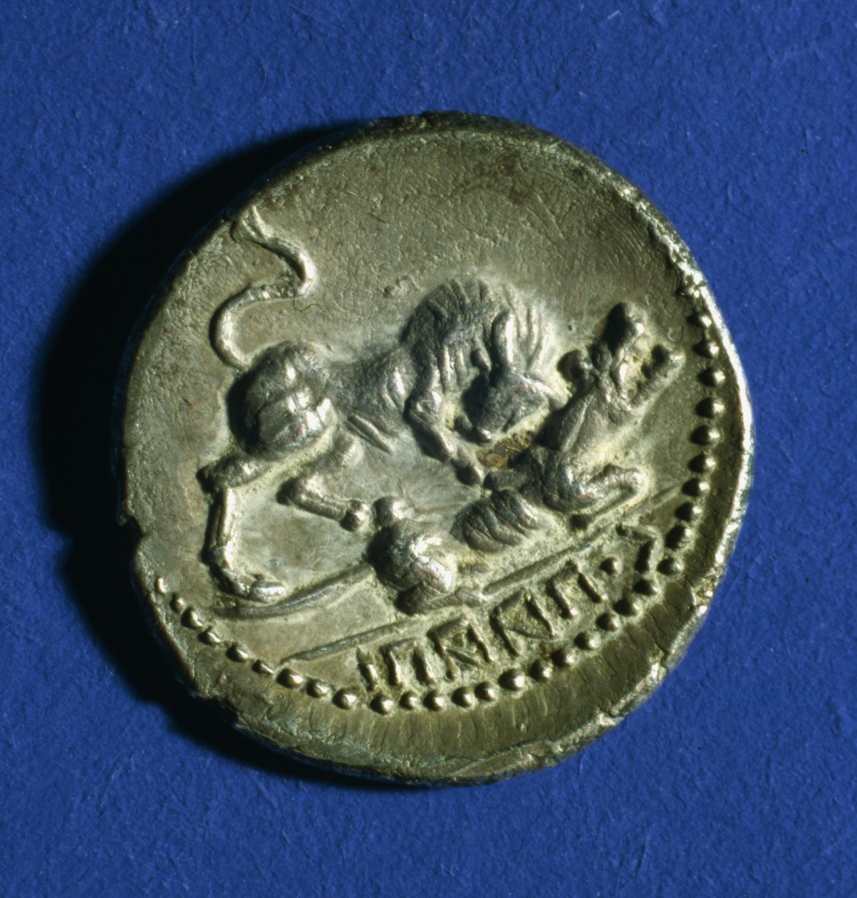Mynt av de kursive stammene som viser en okse som angriper den romerske ulven, 89-90 f.Kr. (sølv) av Italian School