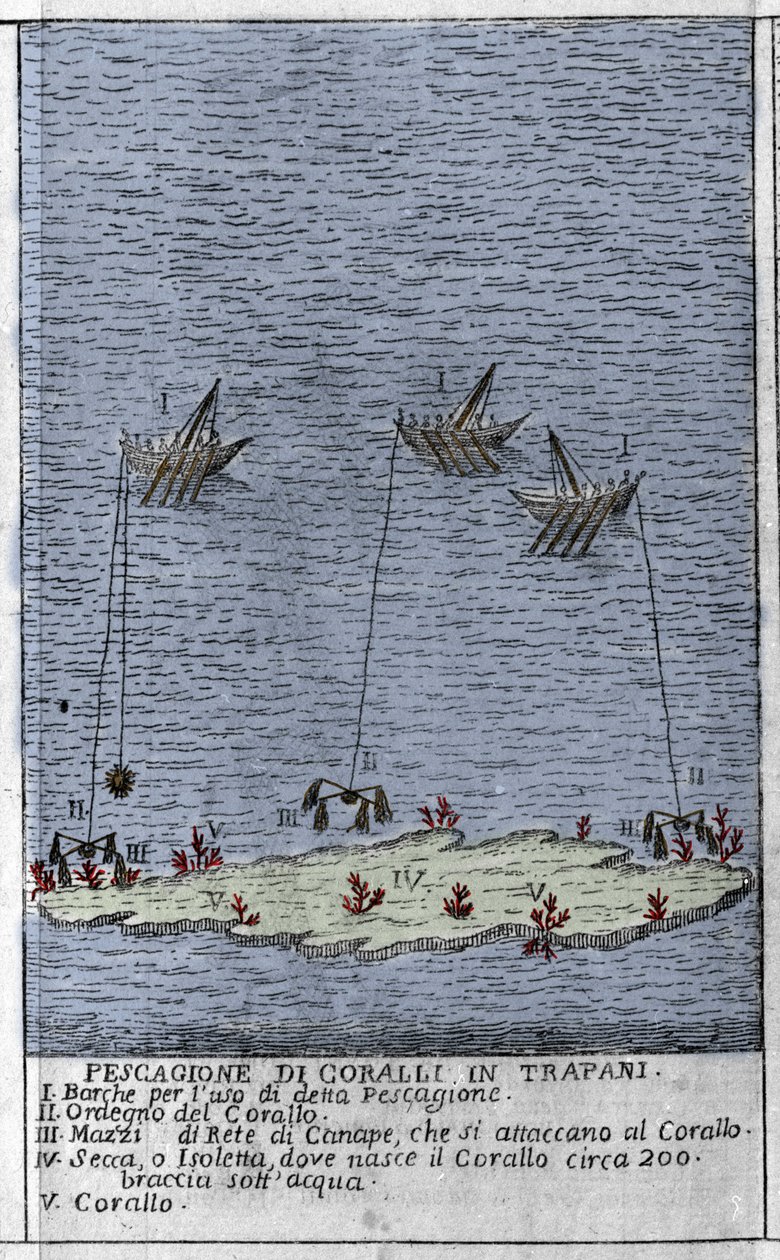 Korallfiske i Trapanibukta på Sicilia, en representasjon av små undervannsøyer hvor det dannes korallfat. Gravering fra "" Stato Presente della Sicilia"" av Arcangelo Leanti, Palermo 1761 av Italian School