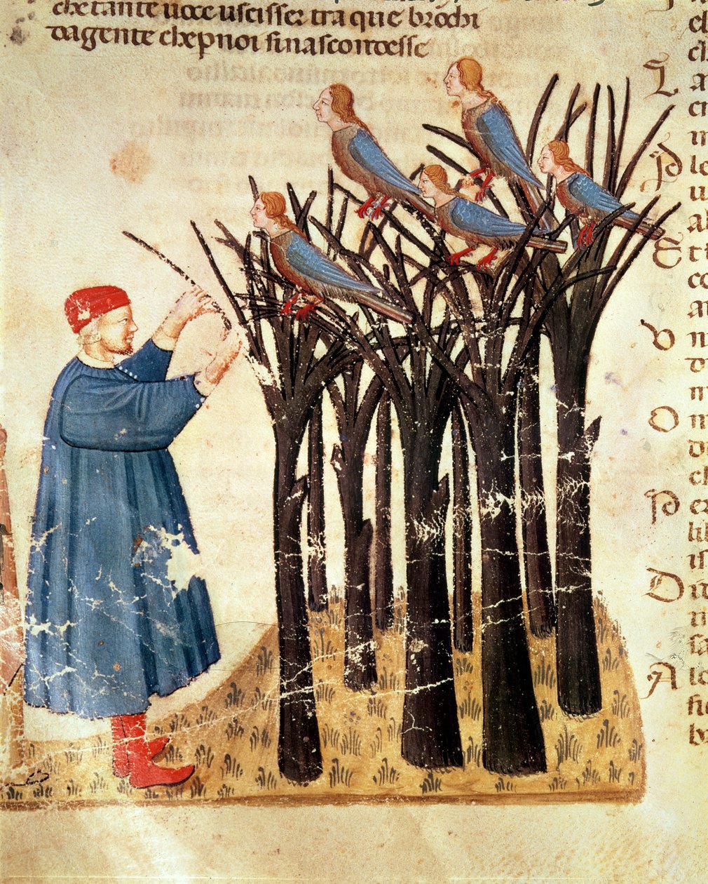 Dante and the Souls Transformed into Birds, fra The Divine Comedy av Dante Alighieri (1265-1321) av Italian School