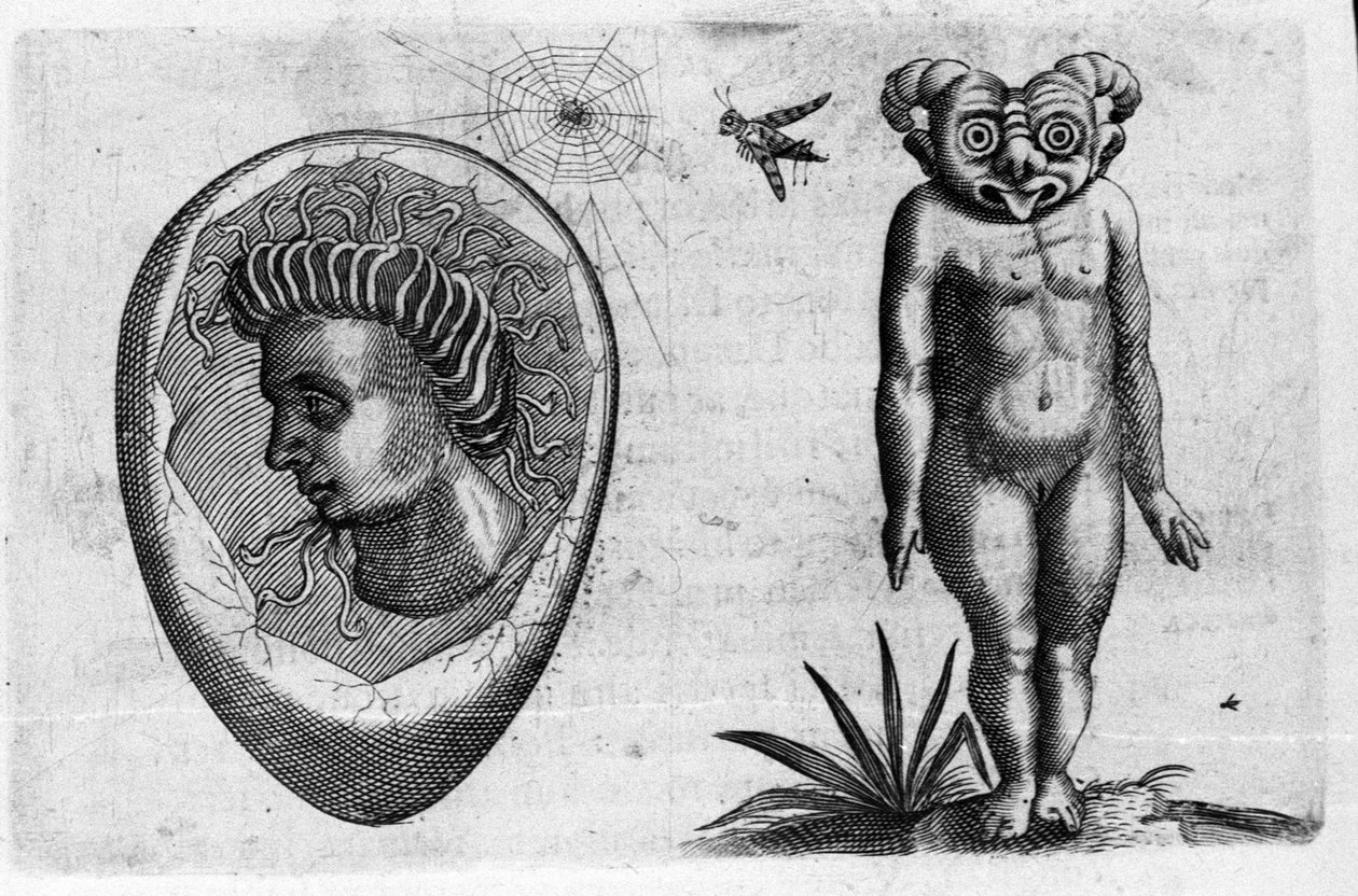 Ulike typer menneskelige monstre: en fossil mann og et monster. Gravering fra "Monstrenes natur, deres årsaker og forskjeller" av Fortunio Selvomi (1577-1656), italiensk vitenskapsmann. 1646 av Italian School