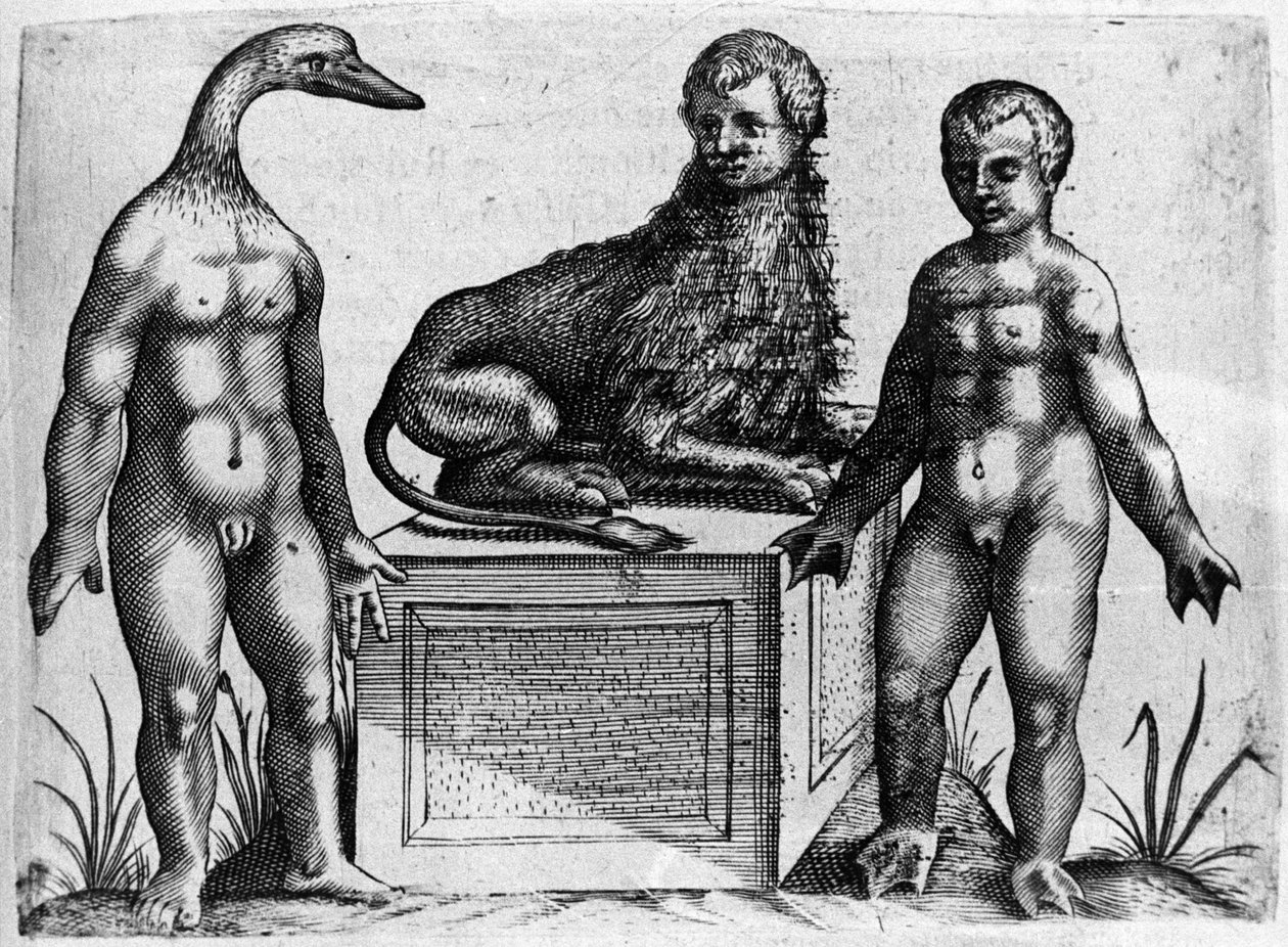 Ulike typer menneskelige monstre: en mann med hodet til en and, en mann med kroppen til en løve og en annen med håndflate. Gravering fra "De monstrorum natura, causis et differentiis" av Fortunio Liceti (1577-1656), italiensk vitenskapsmann. 1646 av Italian School