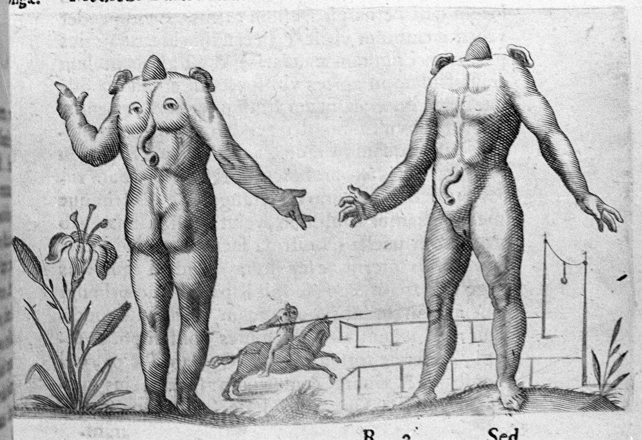 Ulike typer menneskelige monstre: en mann uten hode. Gravering fra "Monstrenes natur, deres årsaker og forskjeller" av Fortunio Selvomi (1577-1656), italiensk vitenskapsmann. 1646 av Italian School