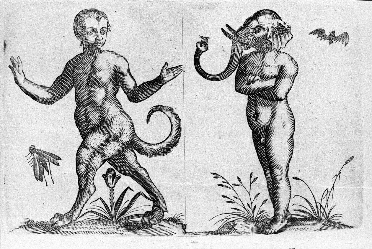 Ulike typer menneskelige monstre: en mann med dyreben og en annen med elefanthode. Gravering fra "De monstrorum natura, causis et differentiis" av Fortunio Liceti (1577-1656), italiensk vitenskapsmann. 1646 av Italian School