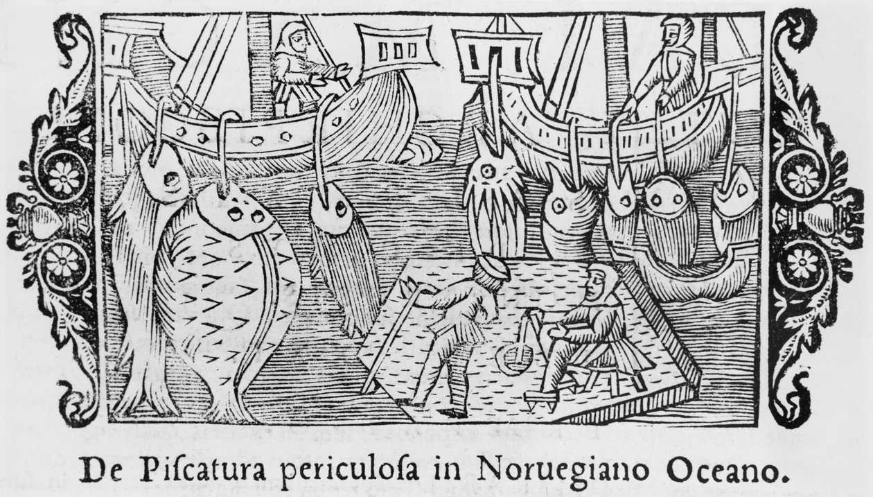 Fiske i Norskehavet, illustrasjon fra History of the Northern Nations av Olaus Magnus (1490-1558), publisert i Roma, 1555 av Italian School