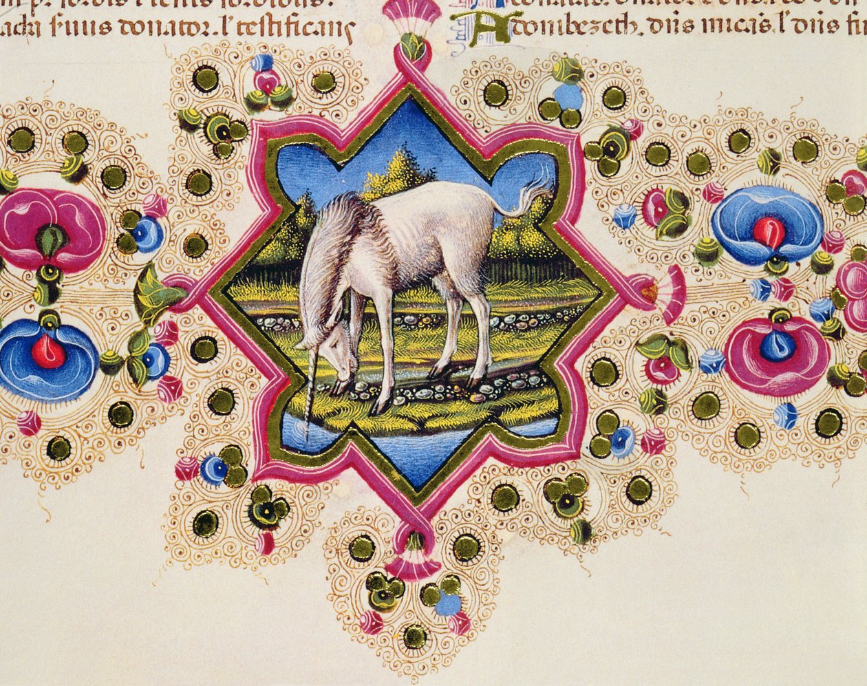 Fol.245V A Unicorn, fra Borso d