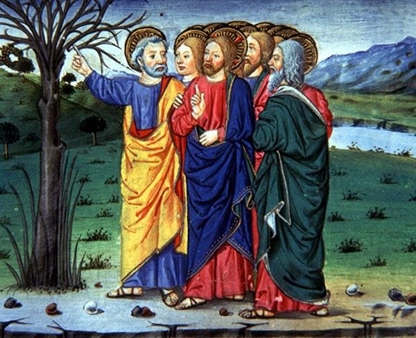 Fol.63r Peter viser til Kristus et uttørket tre (vellum) av Italian School