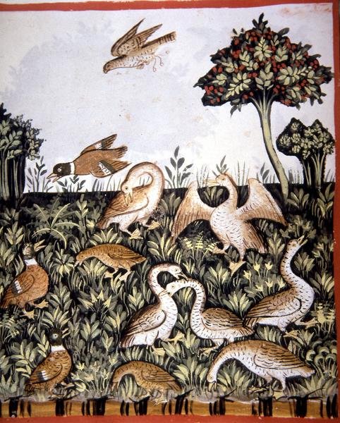 Fol.69v Ender og gjess, illustrasjon fra 