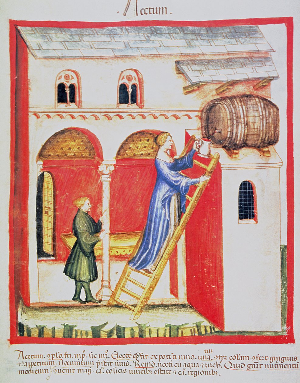 Fol.85v Eddik, illustrasjon fra Tacuinum Santiatis Codex Vindobonensis av Italian School