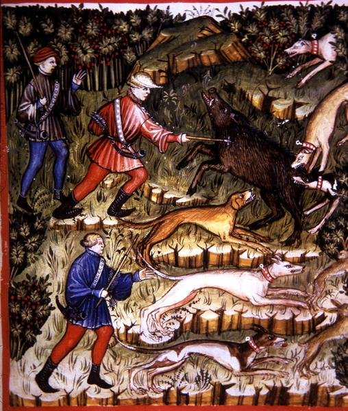 Fol.96r Hunting Animals, illustrasjon fra 