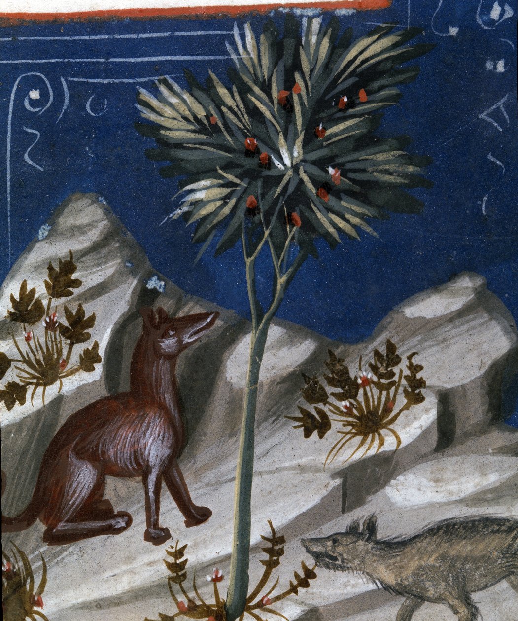 Fox and a wolf, illustrasjon fra "Codex Justianus", 1350 av Italian School