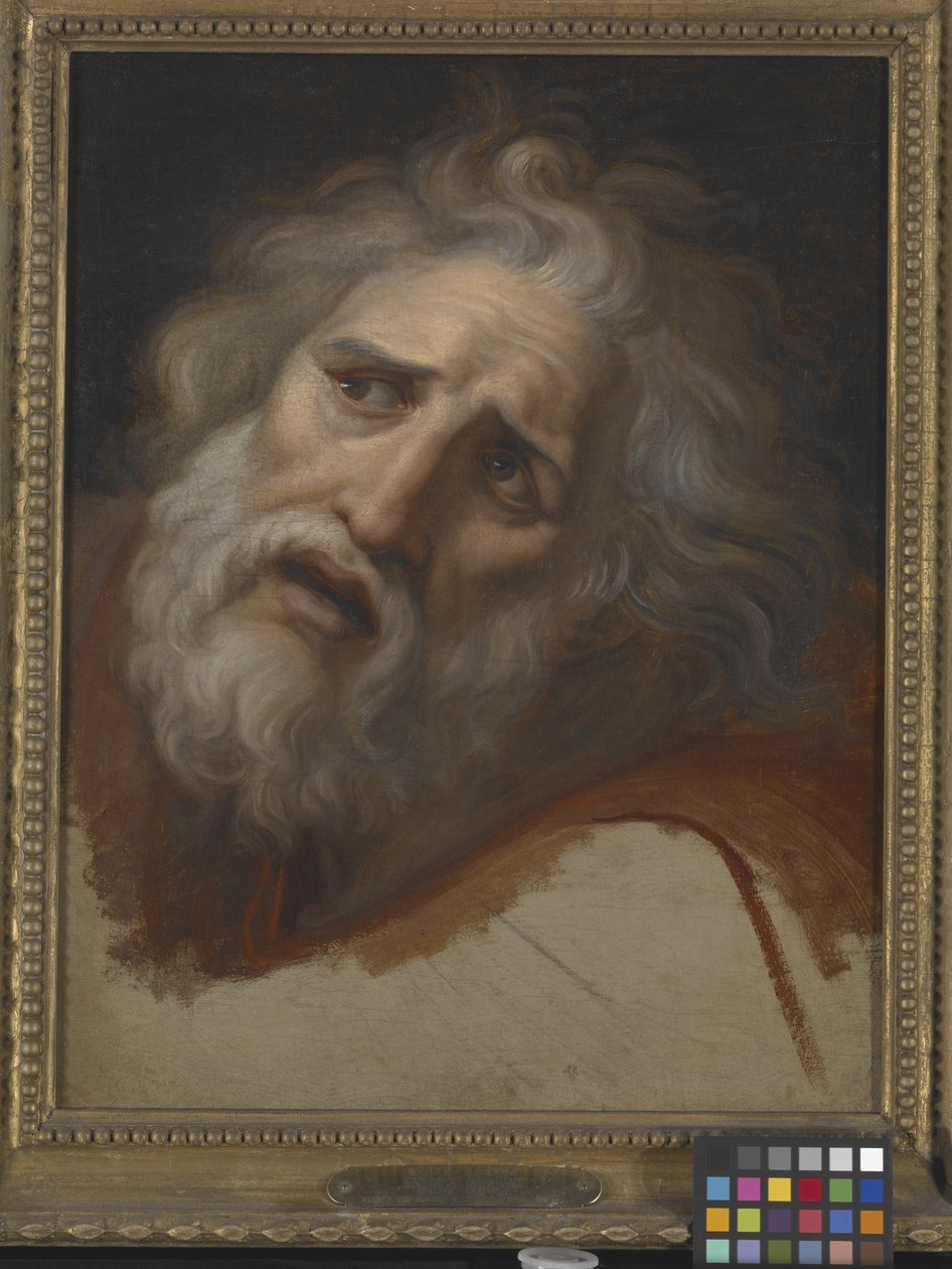 Head Of Laocoon (olje på lerret) av Italian School