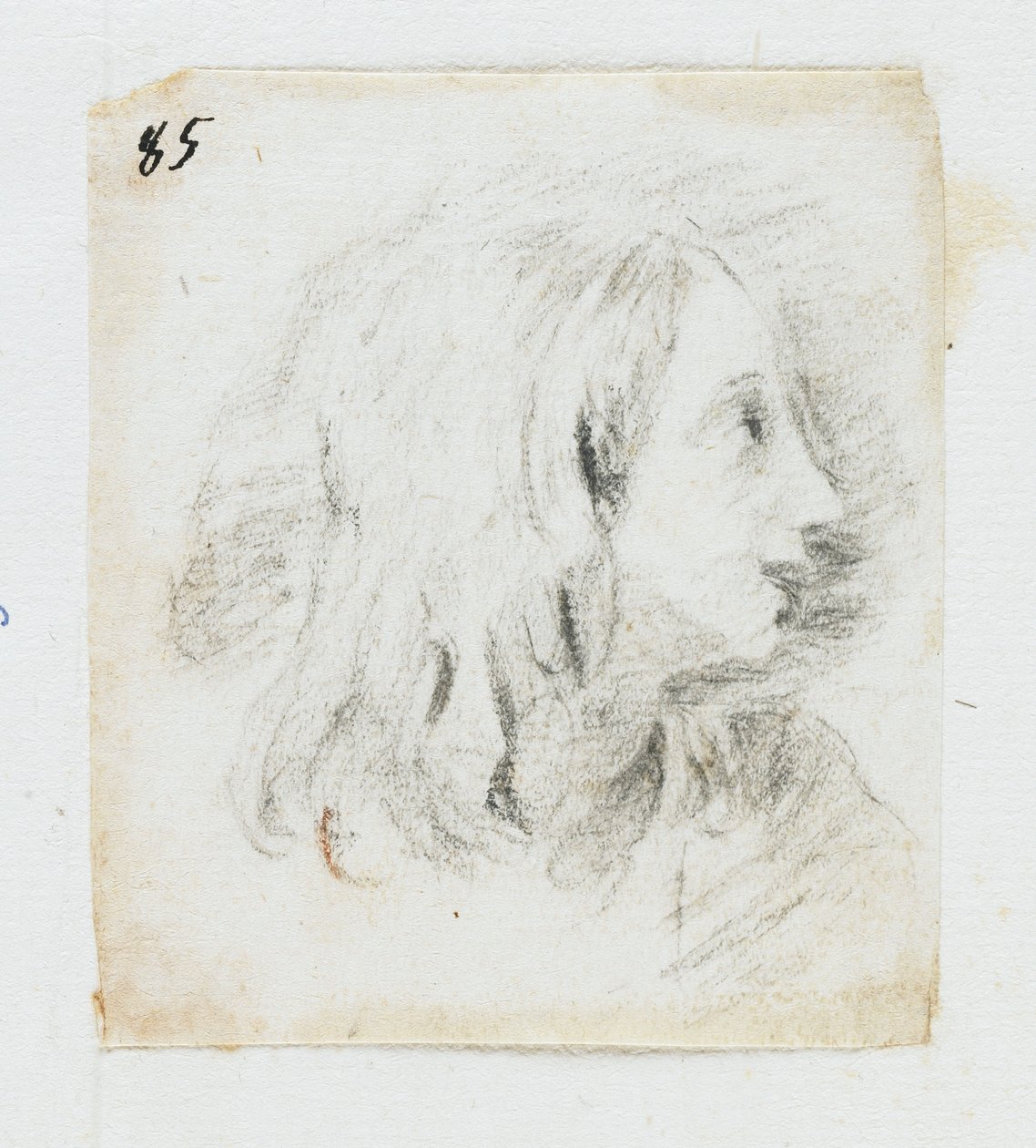 Head of a Boy in Profile (svart kritt) av Italian School