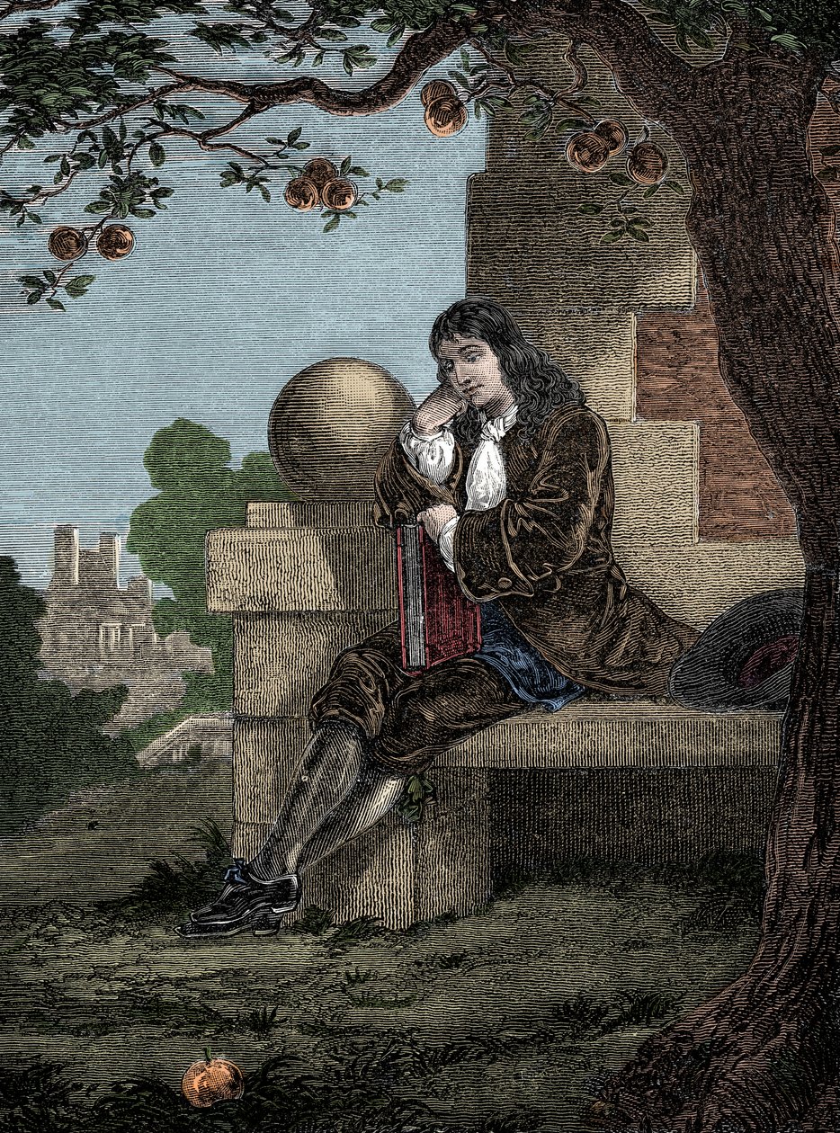 Isaac Newton ser et eple falle til bakken mens han sitter under et tre av Italian School
