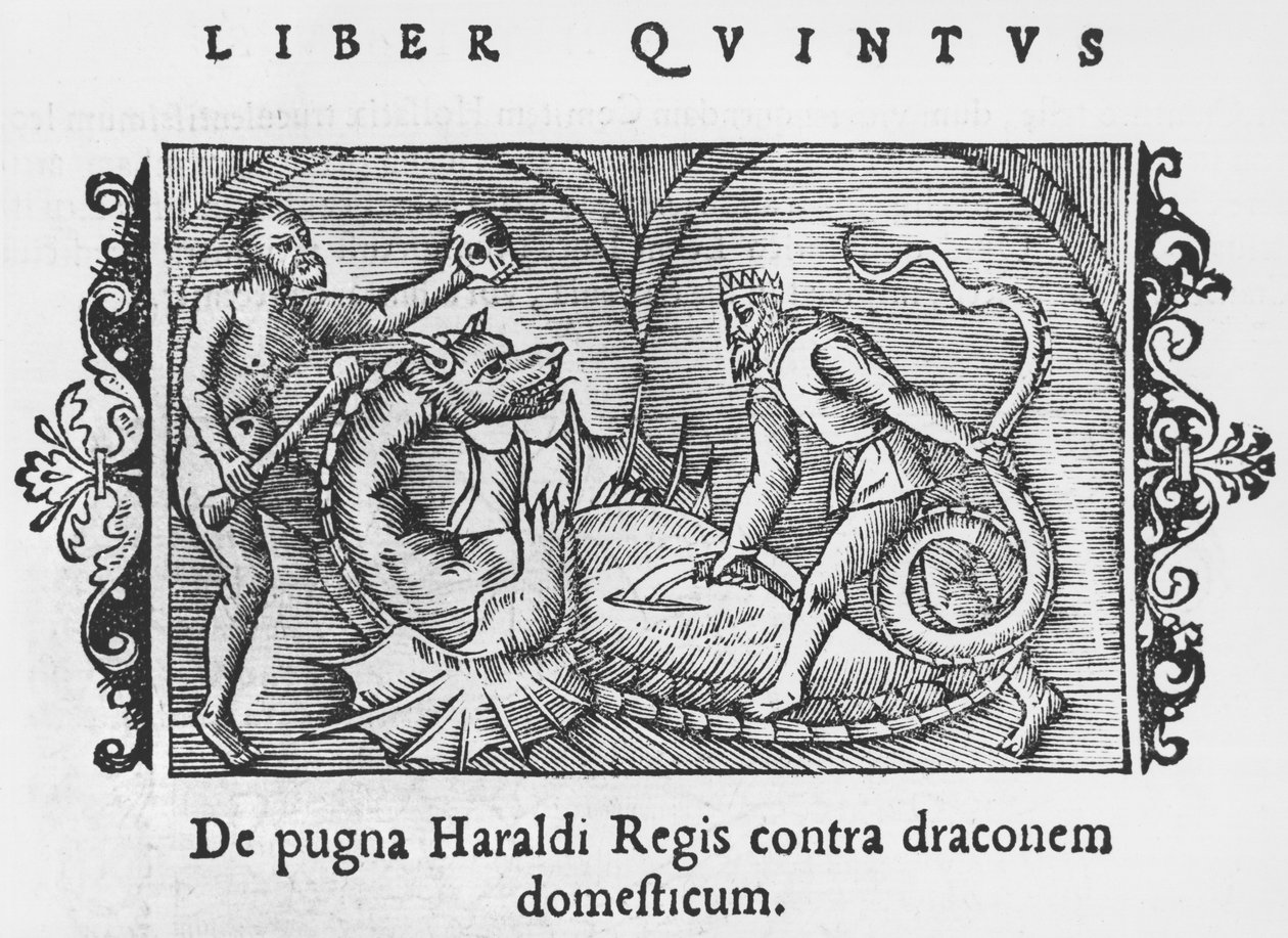 Kong Harald kjemper mot en drage, illustrasjon fra History of the Northern Nations av Olaus Magnus (1490-1558), publisert i Roma, 1555 av Italian School