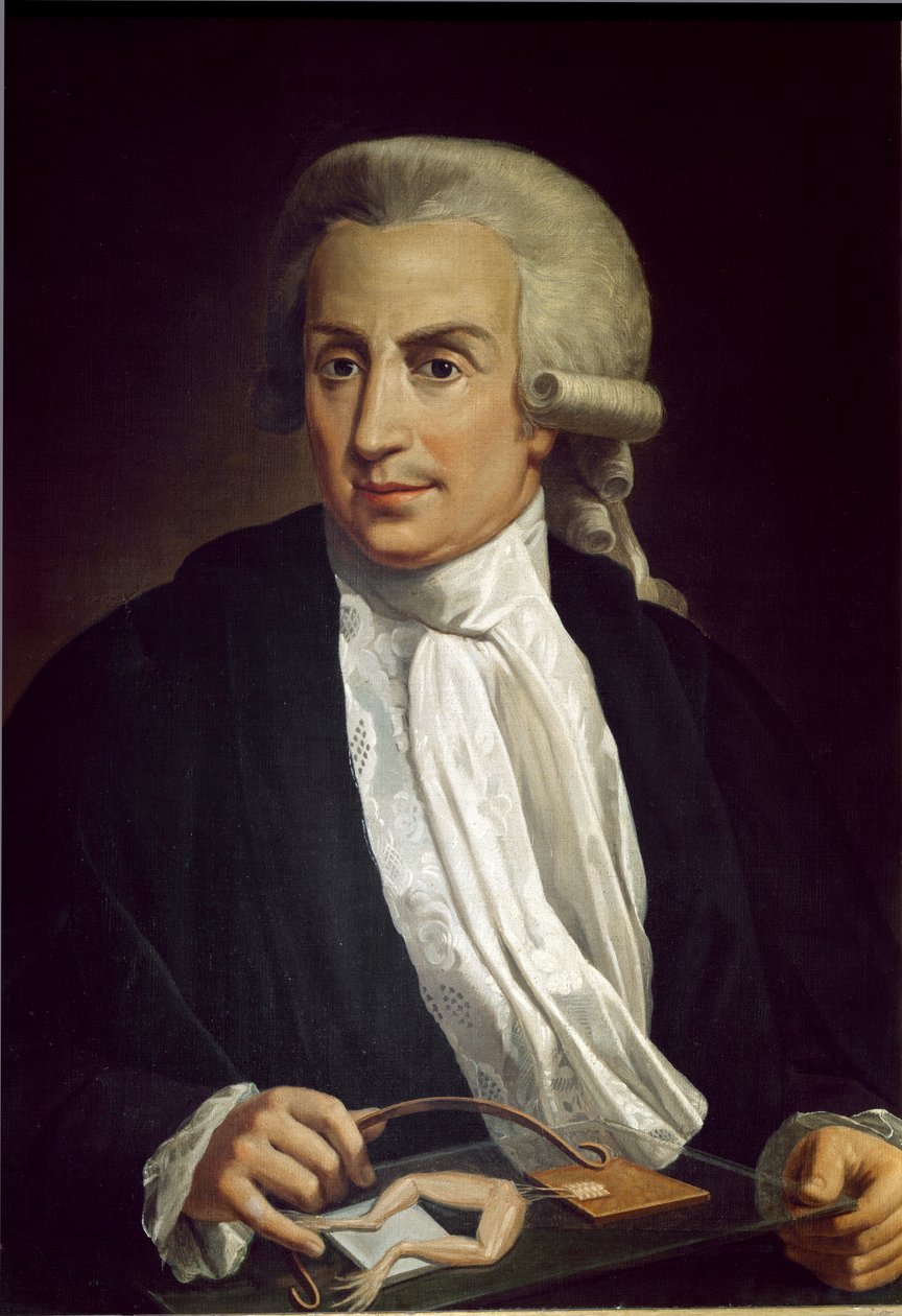 Luigi Galvani med froskeeksemplar av Italian School