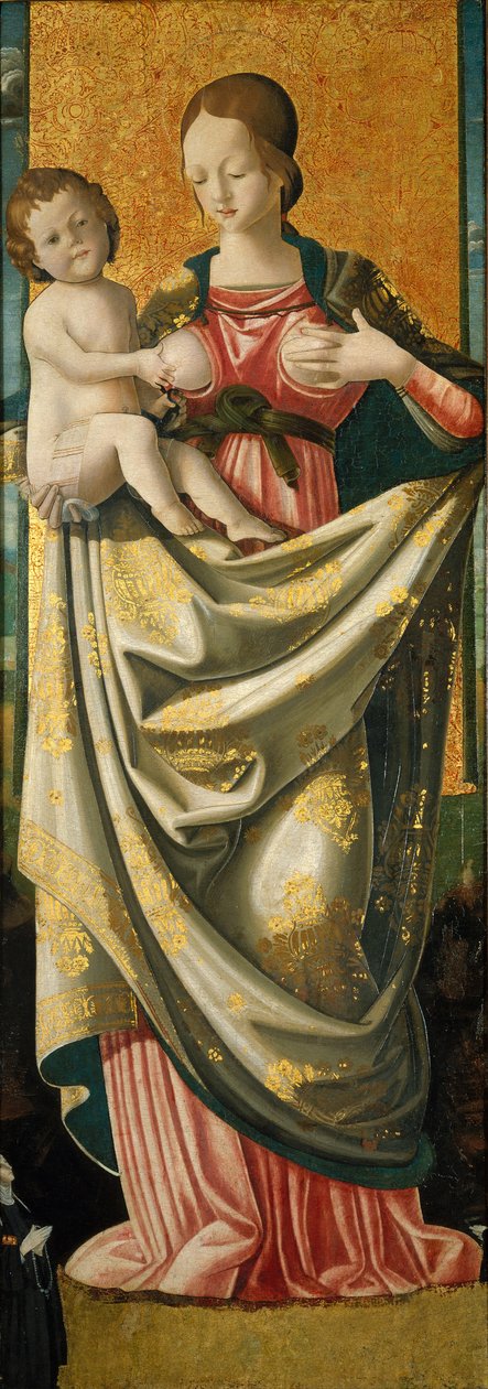 Madonna del Suffragio, ca. 1520 (tempera på hardtrepanel) av Italian School