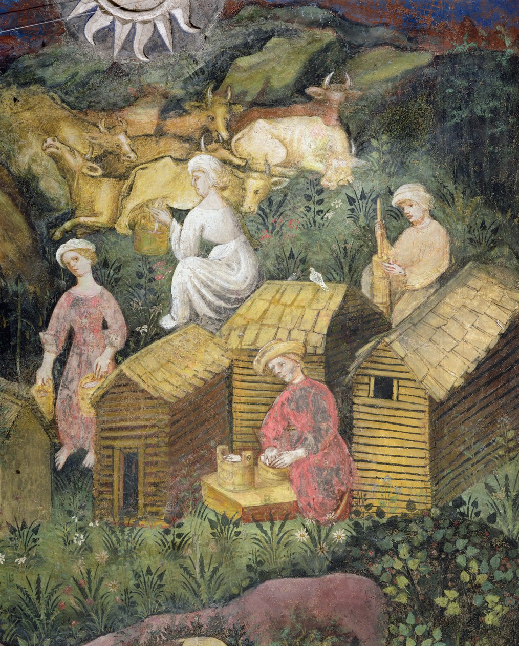 Fjellbeite. Melking av kyrne og osteproduksjon (fresco) av Italian School