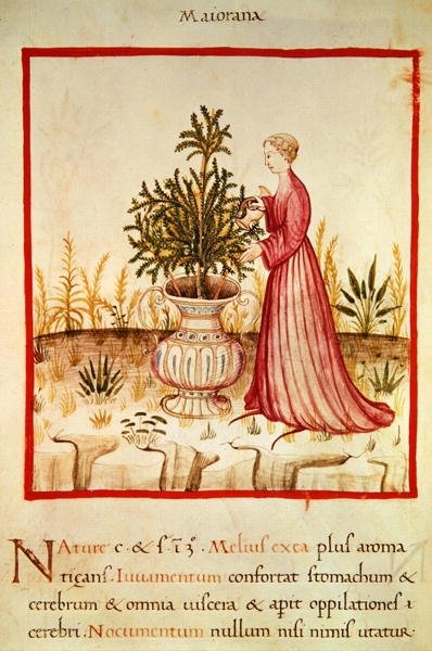 Ms 3054 fol.14v Watering Merian, fra 