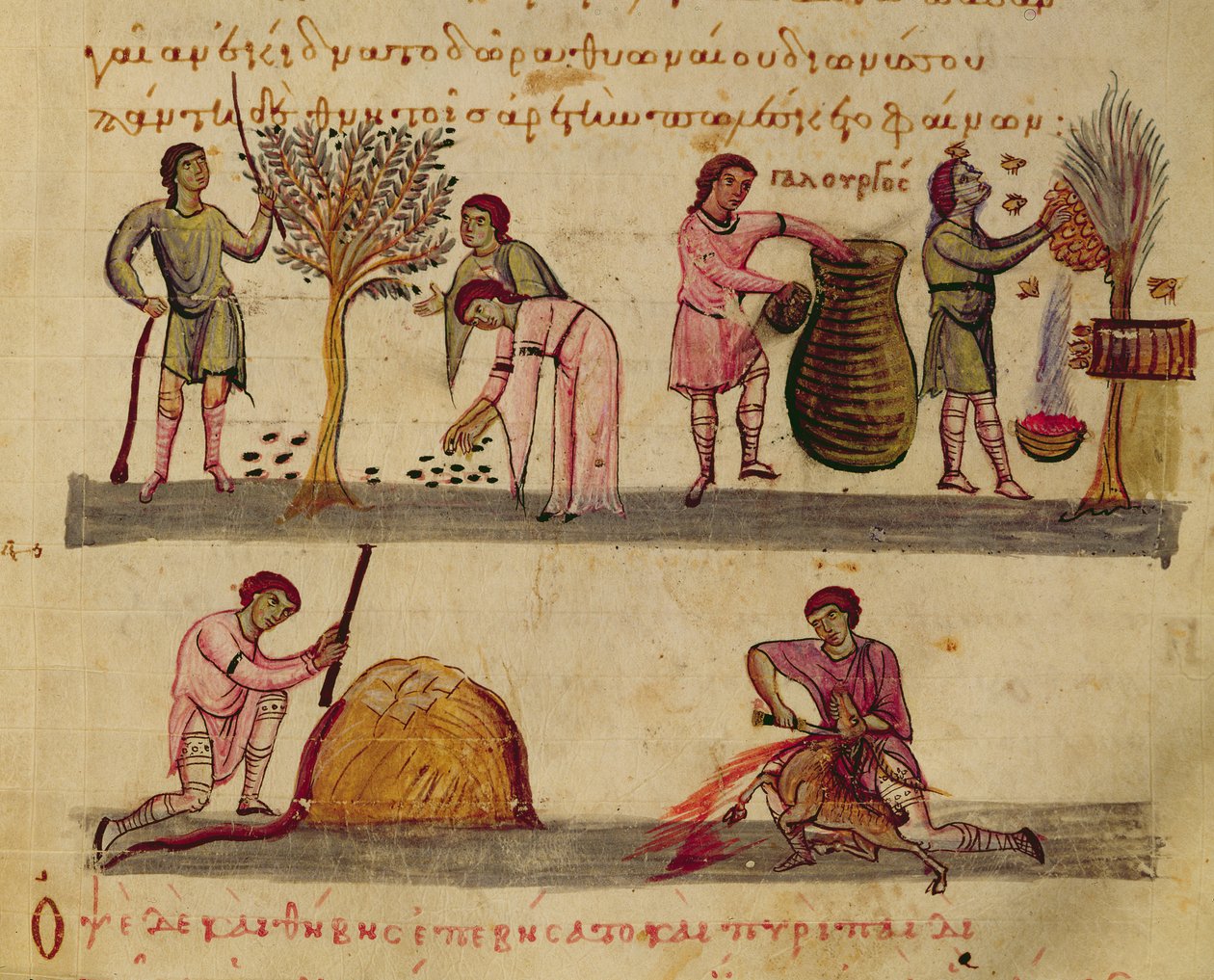 Ms Grec 479 Working in the fields, illustrasjon fra Cynegetica av Oppian (tempera på vellum) av Italian School