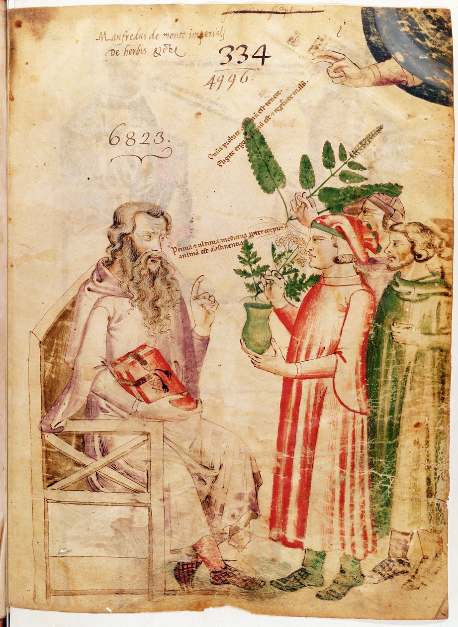 Ms Lat 6823 fol.1 Menn som presenterer planter til en ukjent mann, fra De Herbis av Manfredus de Monte Imperiali av Italian School