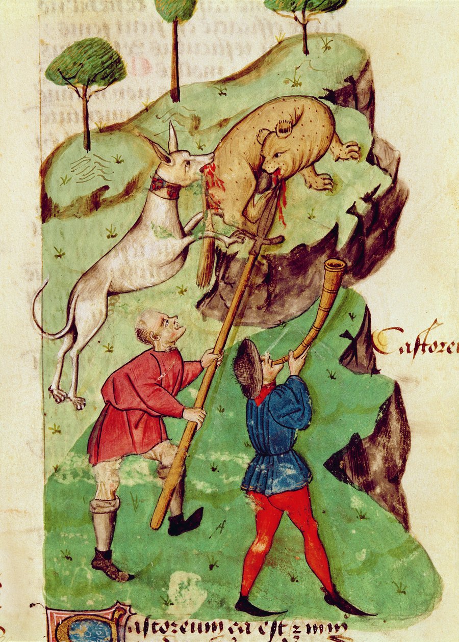 Ms Lat 993 fol.35r Jakten, fra 
