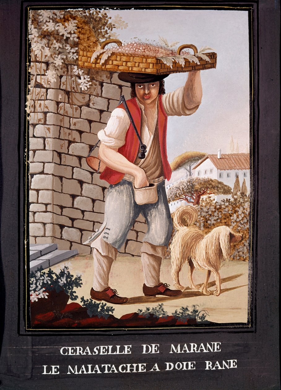 Napolitanske metiers: selgeren av kirsebær fra Marasca - (gammel handel: marasca-kirsebærselgeren) Akvarell fra 1800-tallet - Napoli Museo Nazionale di San Martino av Italian School