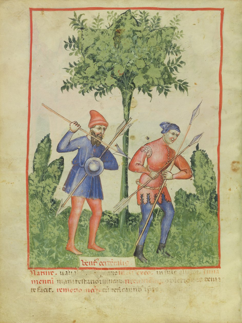 Nouv Acq Lat 1673 fol.100v The West Wind, fra Tacuinum Sanitatis, ca. 1390-1400 av Italian School