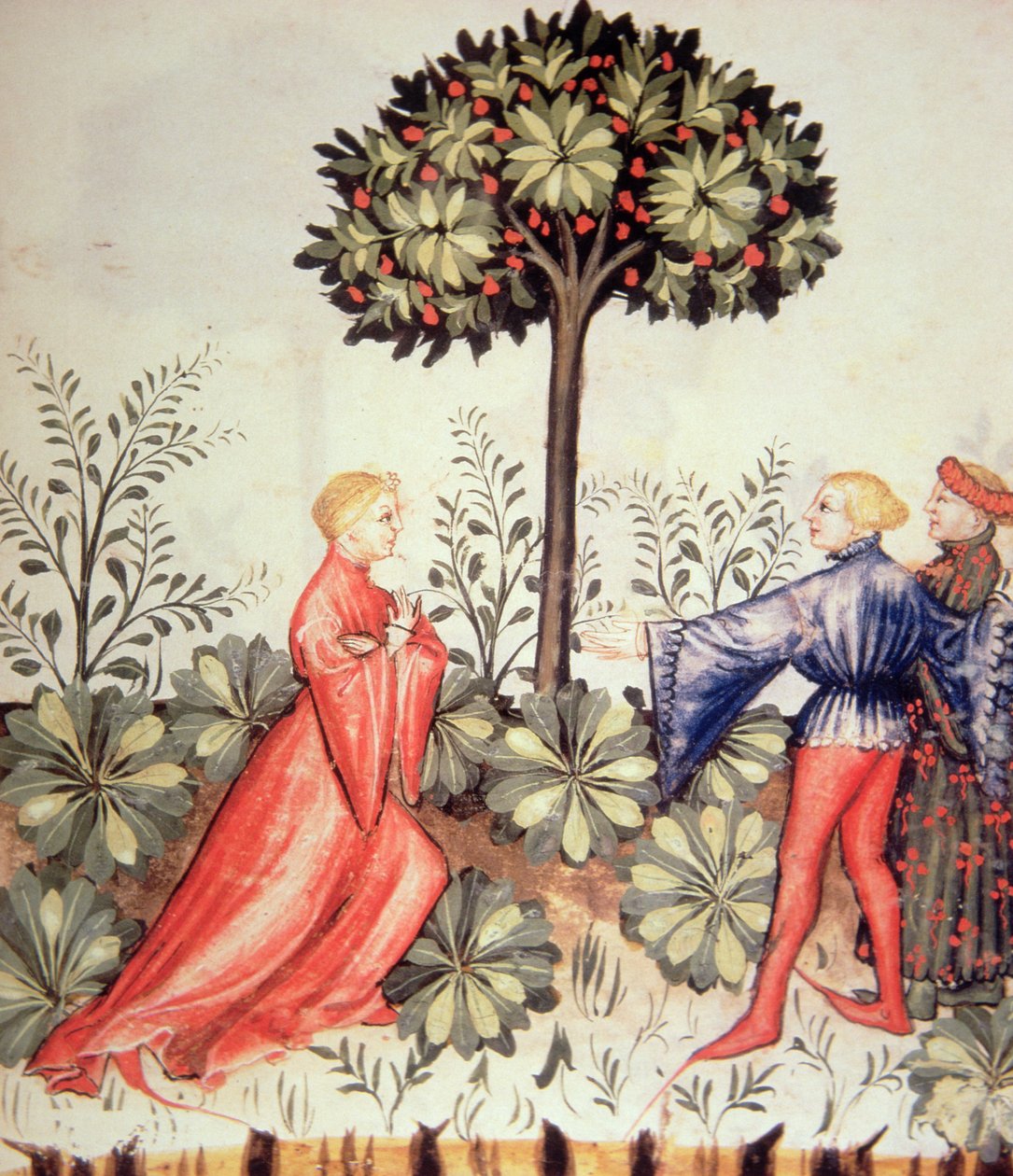 Nova 2644 fol.24r Harvesting Sennep, fra Tacuinum Sanitatis av Italian School
