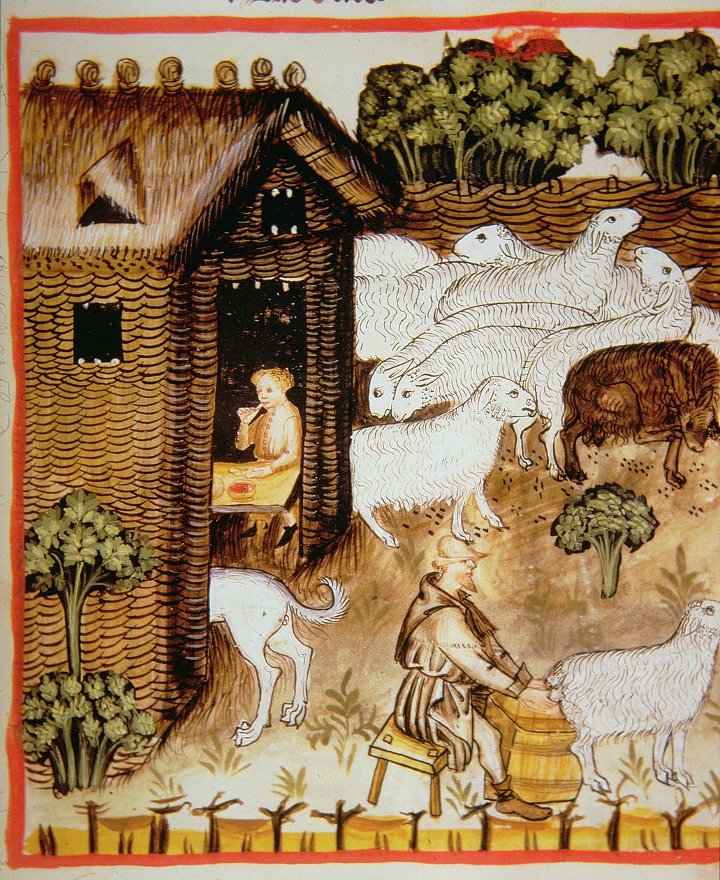 Nova 2644 fol.59r Sauehold: søtmelk, fra Tacuinum Sanitatis av Italian School