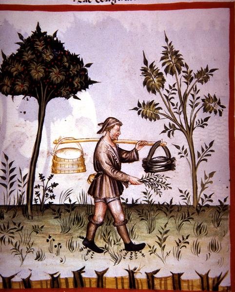 Nova 2644 fol.61v Kosmet melk, fra 