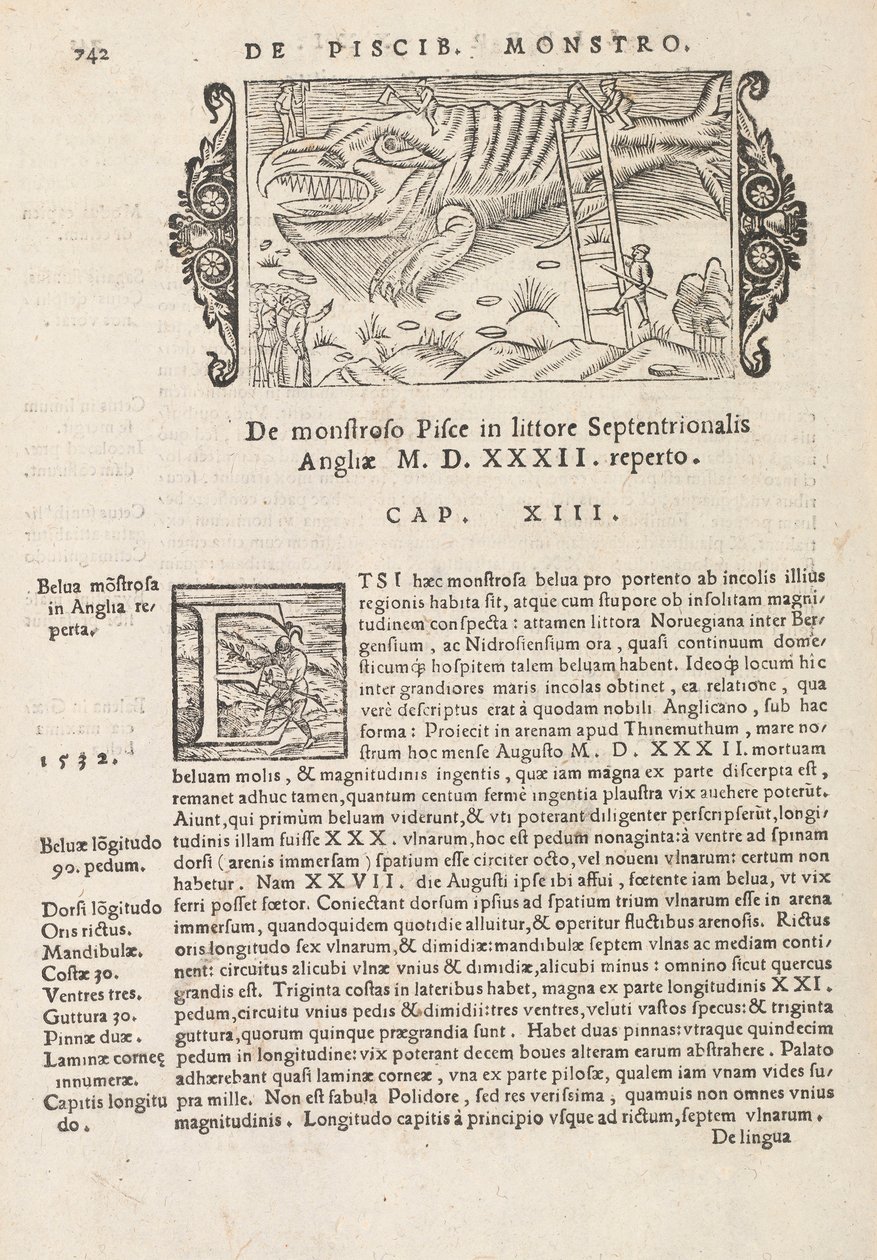 Side 742 fra History of the Northern Gentivus av Magnus Olaus, Roma 1565 (trykk og gravering) av Italian School
